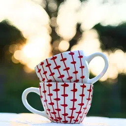 WEAVING HOMES Red & White Printed Ceramic Glossy Cups Set of Cups and Mugs-36