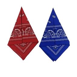 Aadikart  Pack Of 2 Blue & Red Paisley Printed Cotton Bandanas-image-75