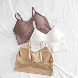 Pack of 3 Women Everyday Lightly Padded Bra-image-119