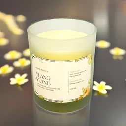 Akaar Yellow & White Fruity & Flowery Ylang Scented Jar Candle-image-61