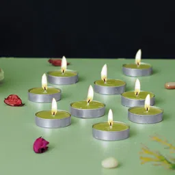 eCraftIndia Green 12-Pieces Wax Jasmine Scented Tea Light Candles-34