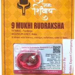 9 Mukhi Nepali Rudraksha Nine Faced Rudraksh With LabTested Sterling Silver Wood Locket-image-1