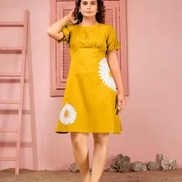 Curvy Lane Women A-Line Dress-picture-41