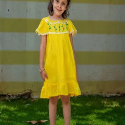 Little Llama Girls Flutter Sleeve A-Line Dress-image-98
