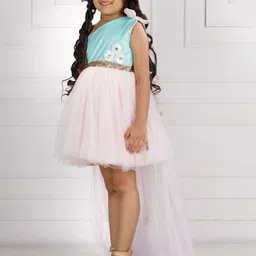 The Lush Affair Embellished Net Balloon Dress-29