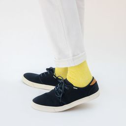 TOMS Men Carlo Heritage Canvas Sneakers-picture-24
