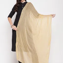 Clora Creation Embroidered Chiffon Dupatta With Sequinned-34