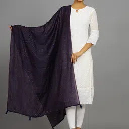 HANDICRAFT PALACE Striped Embroidered Dupatta with Sequinned-11