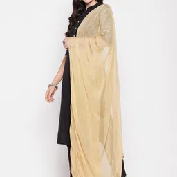 Clora Creation Embroidered Chiffon Dupatta With Sequinned image 4