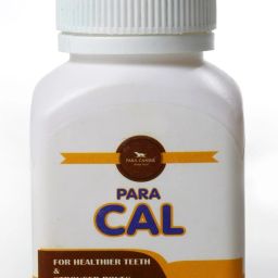 Skin & Coat Care Tablet-image-36