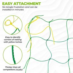 evergreen Plant Climbing Net & 5.5Ft x 12Ft Creeper Support Gardening Netting Green Colour Insect Net image 3