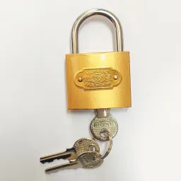 any fashion 3 foot chain + 1 medium size lock with 3 keys + 2 small locks with 2 keys each Chain Lock image 4