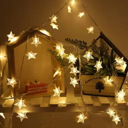 20 LEDs 3.99 m Yellow Steady Star Rice Lights-picture-6