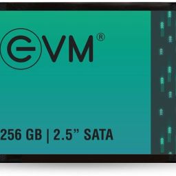 EVM 256GB SATA SSD 256 GB All in One PC's, Desktop, Laptop Black SATA Internal Solid State Drive (SSD) (25/256GB)-34