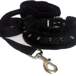 Black Spike 1 Inch Medium Dog Collar & Leash-image-32