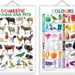 Pack of 2 Domestic Animals and Pets and Colours Educational charts-48