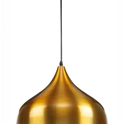Areezo Gold Toned Semi-sphere Ceiling Lamp-image-39