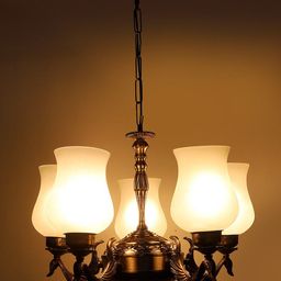 Devansh White New Era 05 Light Chandelier With Milky Glass Shade-57
