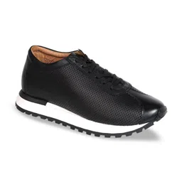mccoy Men Textured Round Toe Comfort Insole Leather Sneakers-picture-15