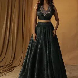 ARPITA SULAKSHANA Embellished Made to Measure Lehenga &-picture-17