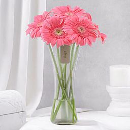 Blushing Beauty Gerbera Arrangement-image-33