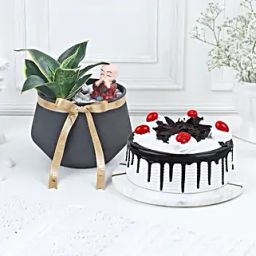 Tranquil Indulgence Arrangement-13