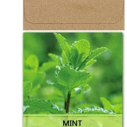 Mint Seed-image-71