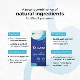 velbiom Q-gazz Helps in Gas Bloating & Indigestion For Men & Women Each Packet 30 Plain Tablet image 5