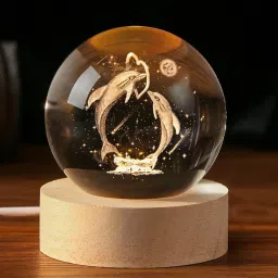 3D Crystal Dolphin Ball Night lamp LED Decoration Table Light Lamp Night Lamp-picture-11