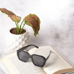 HAUTE SAUCE by Campus Sutra Women Black Lens & Black Oversized Sunglass SS22_HSSG1050-picture-56