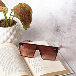 HAUTE SAUCE by Campus Sutra Women Brown Lens & Brown Oversized Sunglasses SS22_HSSG1106-6