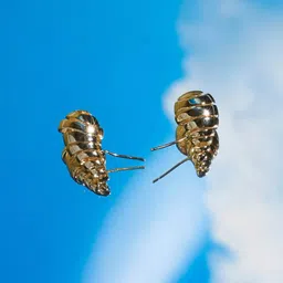 SALTY Gold-Plated Contemporary Stud Earrings-29