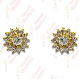 Comet Busters Floral Stone Studs Non Piercing Ear Stickers-52