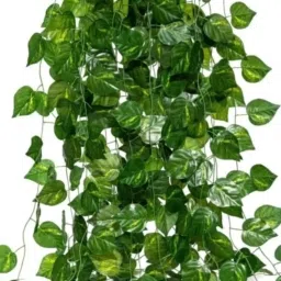 Artificial Money Plant Leaves Creeper for Home /Office /outdoor /Festival Decor Green Westeria Artificial Flower-image-45