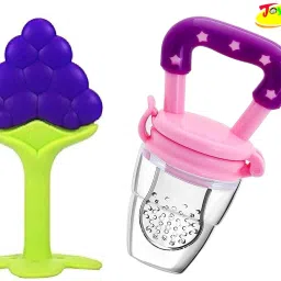 Baby Silicone Fruit Teether & Fruit Feeder Combo - Blue & Purple Teether and Feeder-image-19