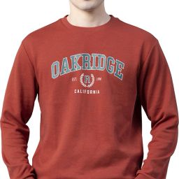 Men Full Sleeve Graphic Print Sweatshirt-image-48