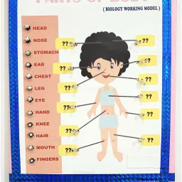 Parts of the Human Body Biology Activity Working Project Model Educational Electronic Hobby Kit-4