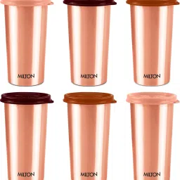 Copper Drinking Water Tumbler with Lid, Set of 6, Copper (Lid Colour May Vary) 480 ml Bottle-image-4