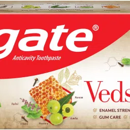 Vedshakti Toothpaste, Anti-Bacterial Paste for Whole Mouth Health (Combo Pack) Toothpaste-28