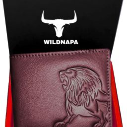 Men Maroon Genuine Leather RFIDWallet-image-64