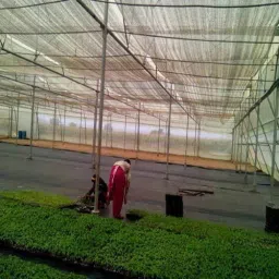 dewan sons Shade Garden Net 10 ft X 30 ft Black UV Stabilized 75% Shade Net Camping Net image 4