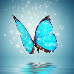 Butterfly Digital Reprint Clip Board Exam Pad (14x9.5 Inches) Premium Quality-picture-44