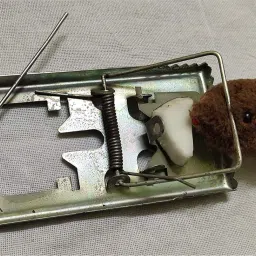 Metal Rat / Rodent / Mouse Trap (2) Snap Trap-16