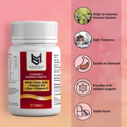 IRON, VIT B12, FOLIC ACID, VIT C, ZINC, BEET ROOT EXT. SUPPLIMENTS TABLETS-24