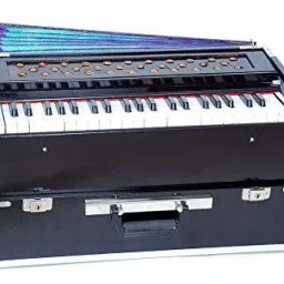2 line Reed 42 keys Folding Portable Harmonium high sound Quality Bag 3.5 Octave Hand Pumped Harmonium-image-80