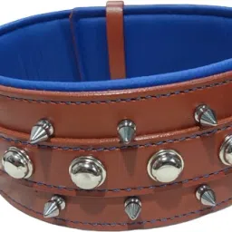 shagul dog leather collar adjustable size 46-56 color black and ten available Dog Show Collar-image-45