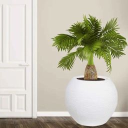 nora Medium Juniper White Polyethylene Floor Planter-picture-46