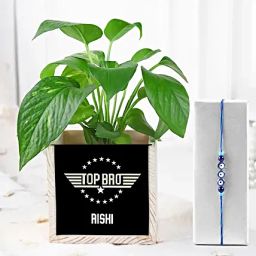 Evil Eye Rakhi N Money Plant In Top Bro Organiser-image-6