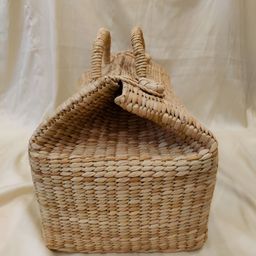 MASU LIVING Brown Regular Tote Basket Organisers-36