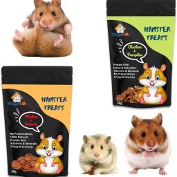 Hamster Treats Combo | Chicken-Carrot + Chicken-Pumpkin | Travel Pack | 100% Natural Crunchy Snack | (30g + 30g) Chicken, Vegetable Hamster Treat-5